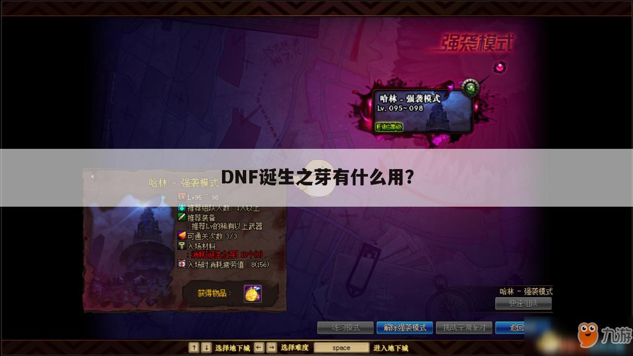 DNF诞生之芽有什么用？