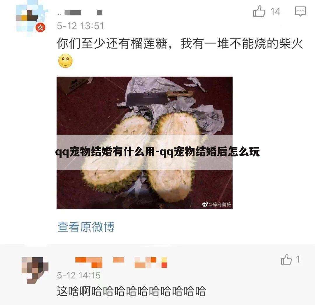 qq宠物结婚有什么用-qq宠物结婚后怎么玩