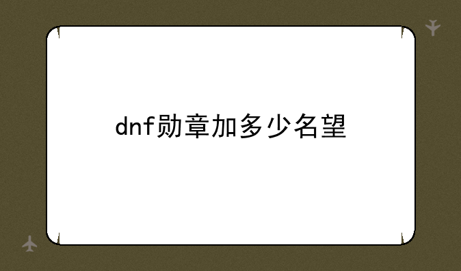 dnf勋章加多少名望