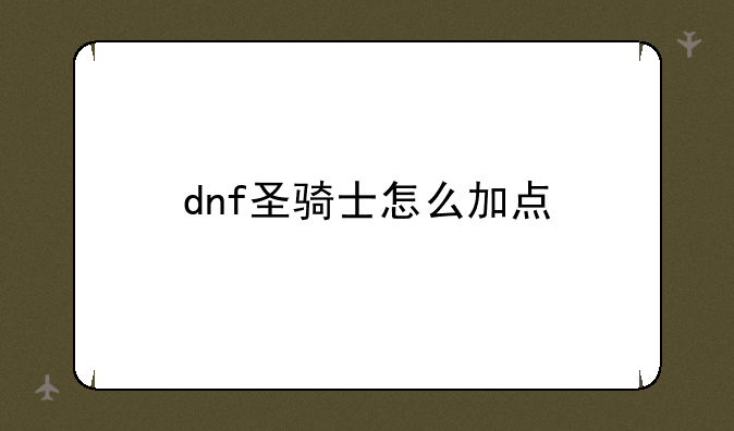 dnf圣骑士怎么加点