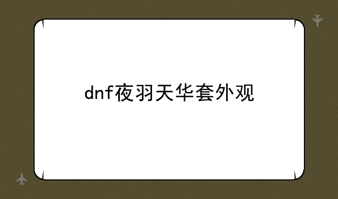 dnf夜羽天华套外观