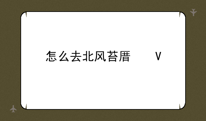 怎么去北风苔原啊