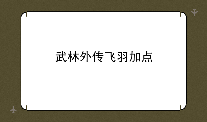 武林外传飞羽加点