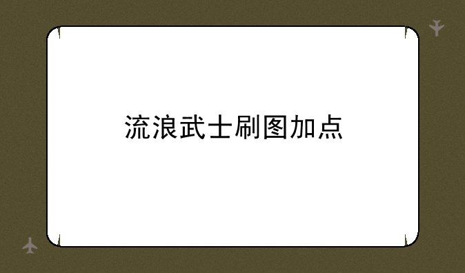 流浪武士刷图加点