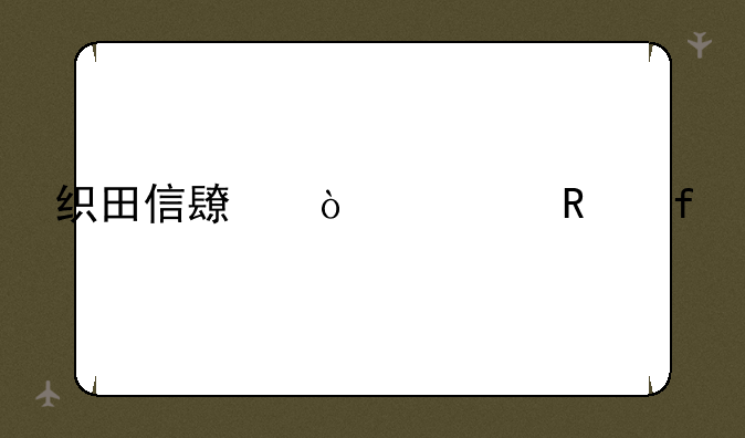 织田信长传修改器