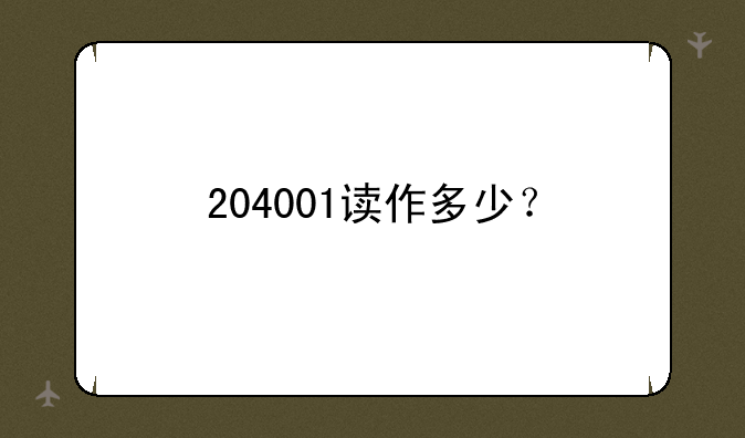 204001读作多少？