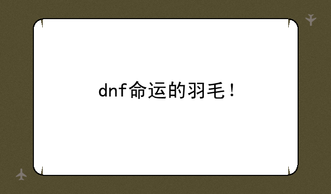 dnf命运的羽毛！