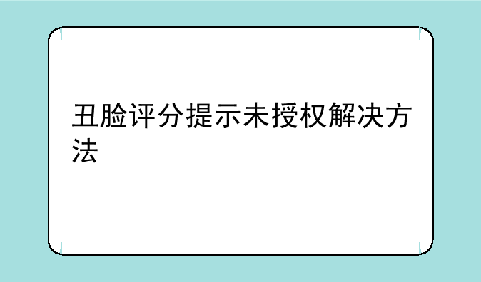 丑脸评分提示未授权解决方法