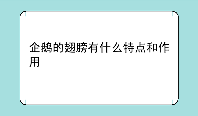 企鹅的翅膀有什么特点和作用