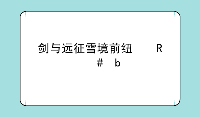 剑与远征雪境前线用什么阵容