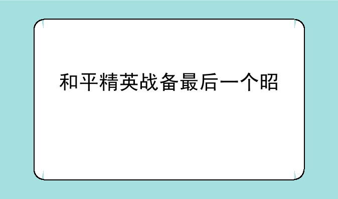 和平精英战备最后一个是什么