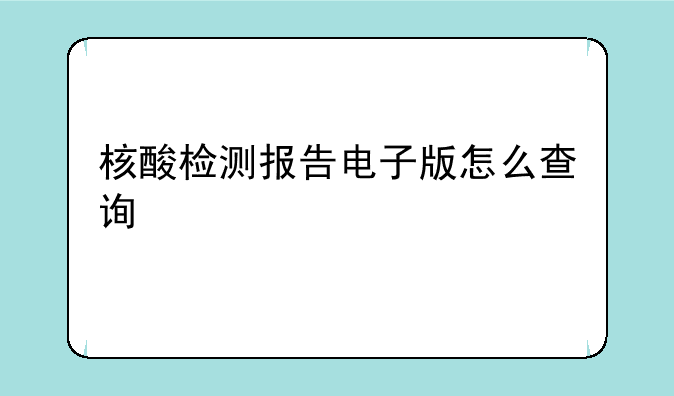 核酸检测报告电子版怎么查询