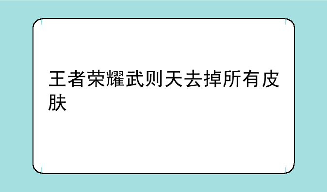 王者荣耀武则天去掉所有皮肤