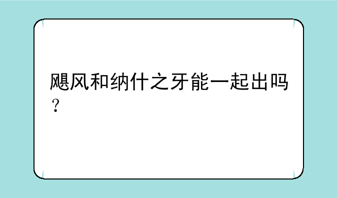 飓风和纳什之牙能一起出吗？