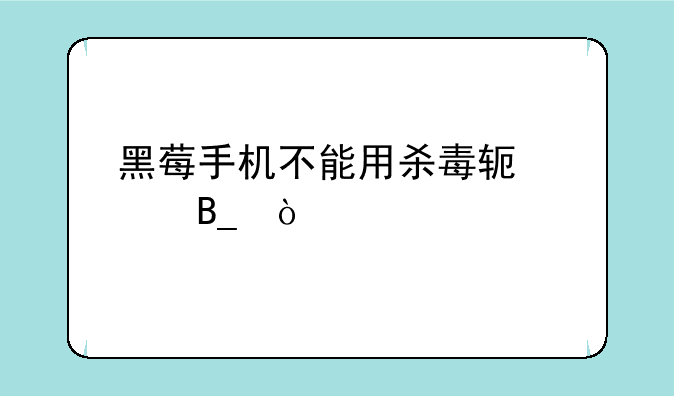 黑莓手机不能用杀毒软件吗？