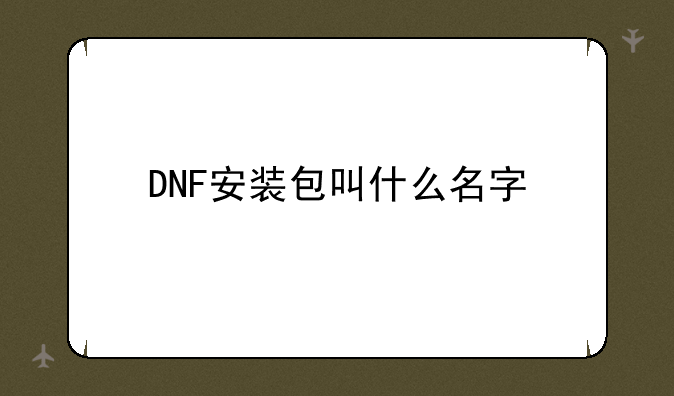 DNF安装包叫什么名字