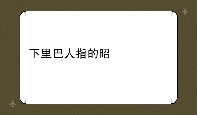 下里巴人指的是什么