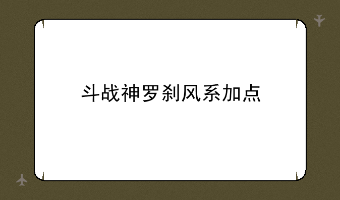 斗战神罗刹风系加点