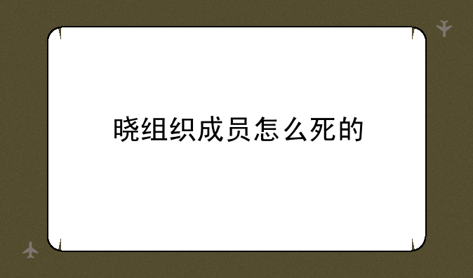 晓组织成员怎么死的