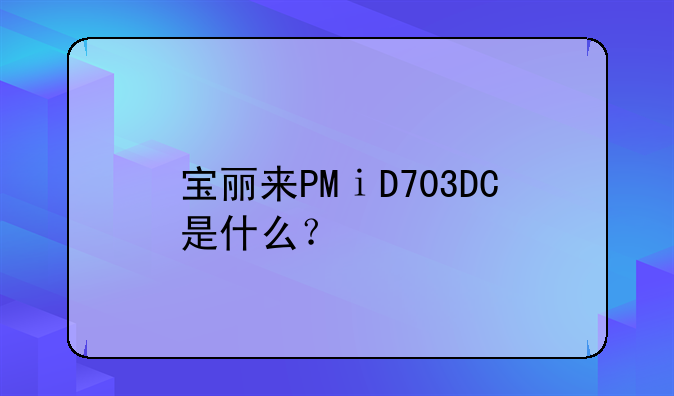 宝丽来PMⅰD703DC是什么？