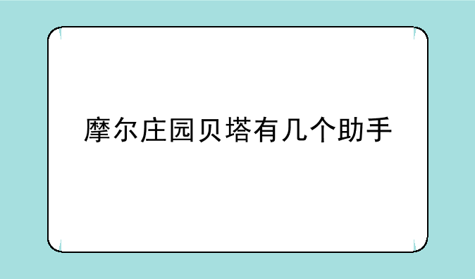 摩尔庄园贝塔有几个助手