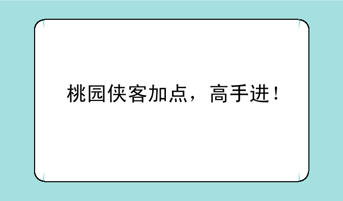 桃园侠客加点，高手进！