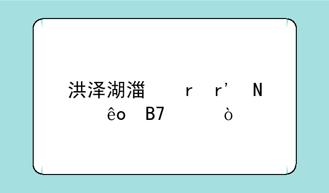 洪泽湖湿地有哪些名称？