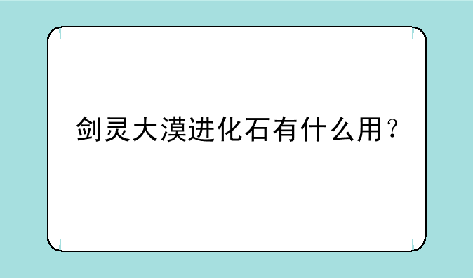 剑灵大漠进化石有什么用？