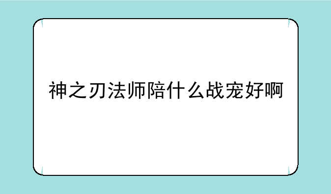 神之刃法师陪什么战宠好啊