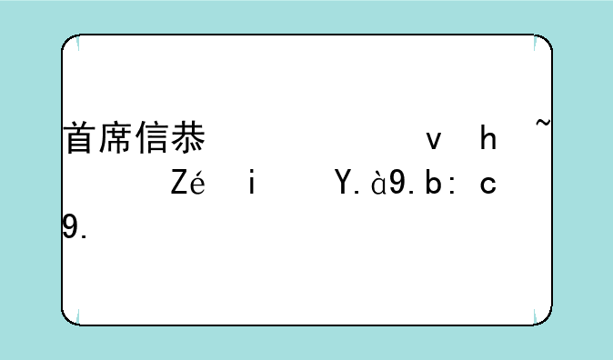 首席信息系统执行官是什么职业？