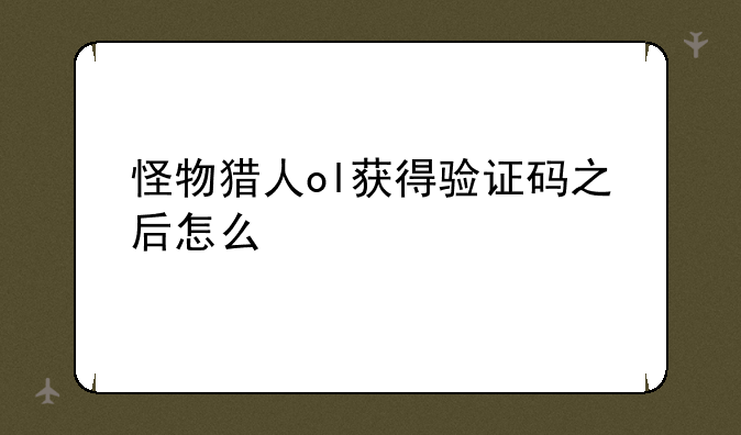 怪物猎人ol获得验证码之后怎么激活