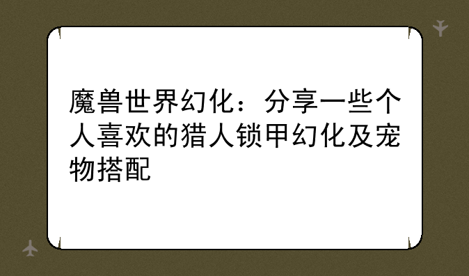 魔兽世界幻化：分享一些个人喜欢的猎人锁甲幻化及宠物搭配