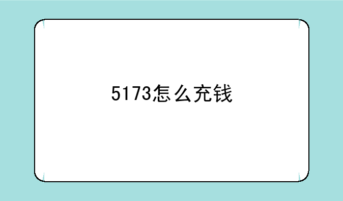 5173怎么充钱