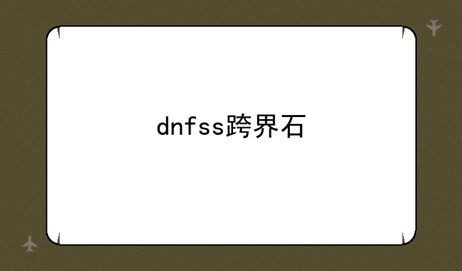 dnfss跨界石