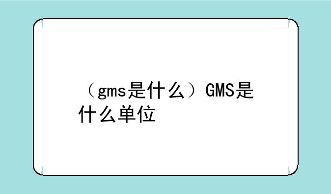 （gms是什么）GMS是什么单位