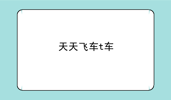 天天飞车t车