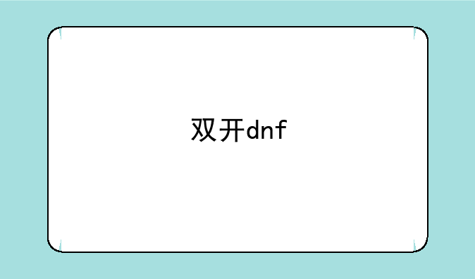 双开dnf